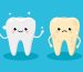 Cleaning and whitening teeth concept vector illustration. Snow-white Happy Tooth and Yellow Moody Tooth Cartoon characters in flat design. Tooth before and after whitening infographic elements.